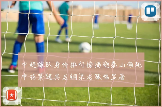 中超球队身价排行榜揭晓泰山领跑申花紧随其后铜梁龙涨幅显著